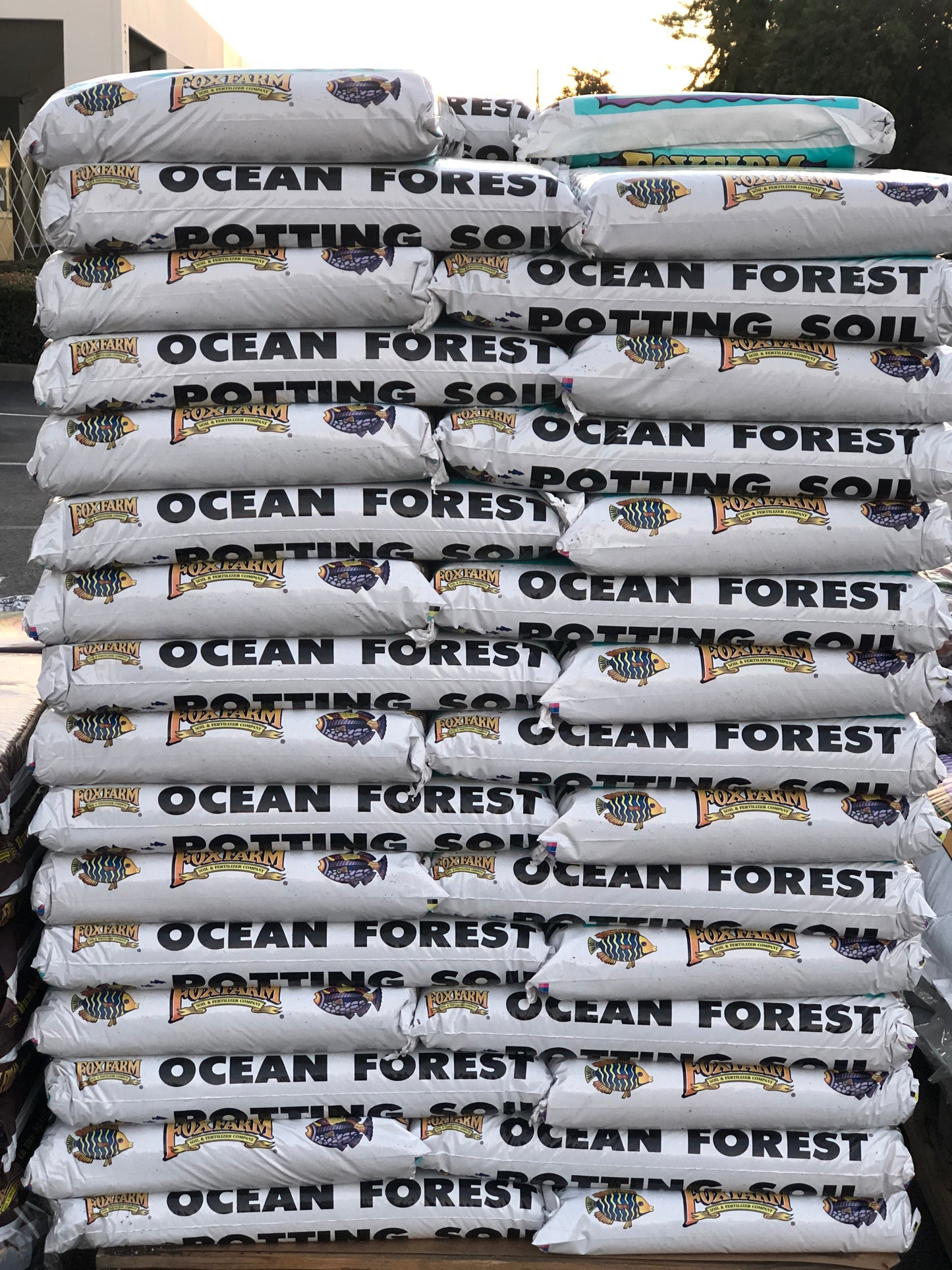 FoxFarm Ocean Forest Potting Soil, 1.5cu ft (6.3-6.8 pH Plant Garden)