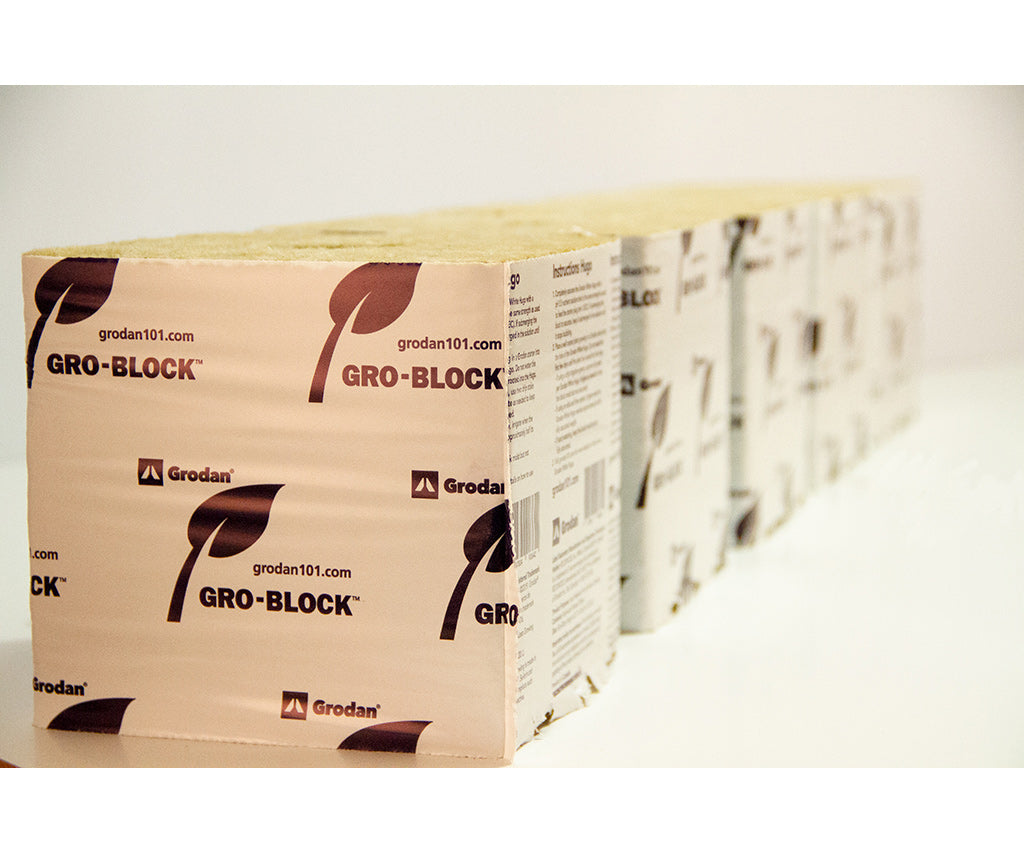 Grodan Hugo 6x6x5.8 (New and Improved) (64pc Case)