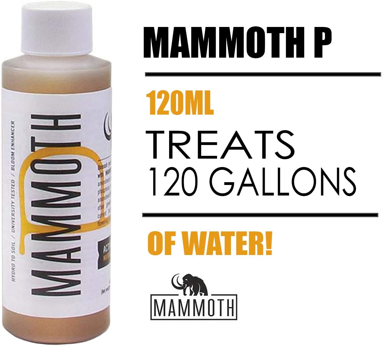 Mammoth P